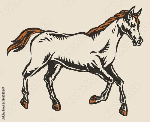 Elegant horse in motion