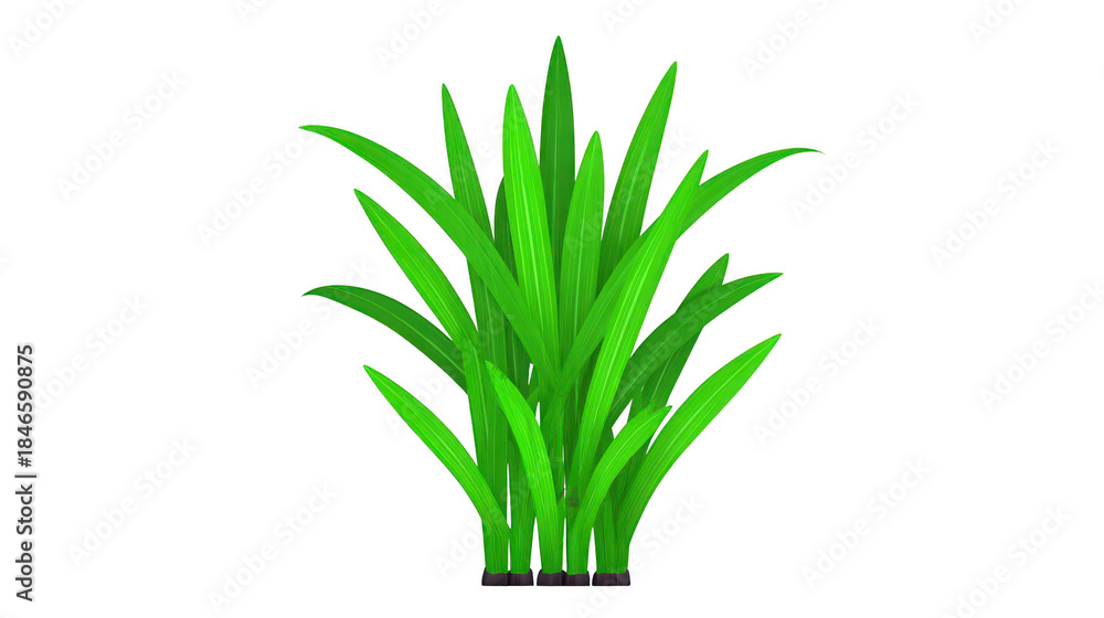 Obraz premium Green grass plant with long, slender leaves isolated on transparent background, fresh and vibrant, suitable for landscaping, gardening, or nature design projects