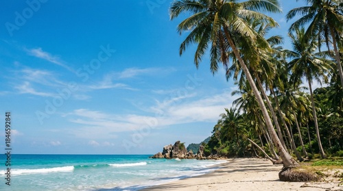 Fototapeta Naklejka Na Ścianę i Meble -  Coconut Palm Beach Serenity