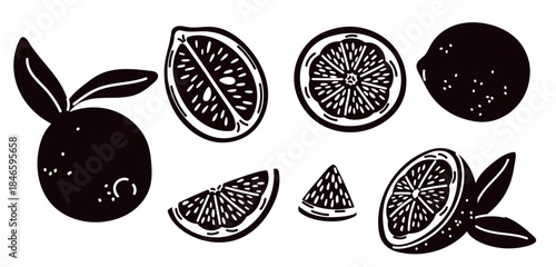 Whole lemons and pieces. Sliced citrus. Half and whole fruit. Natural orange or lime fresh. Tropical juicy citron. Grapefruit with leaves. Vector set of silhouettes on white background