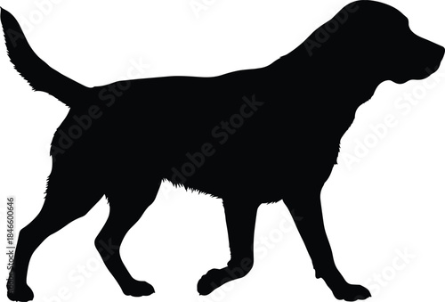 Black dog silhouette walking in profile, raised leg, tail up, pet icon, animal shape, vector design, isolated pose, fur detail