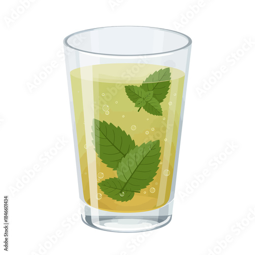 Refreshing mint infused beverage in a clear glass, a cool summer drink.