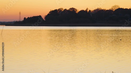 Beautiful sunset over Ushiku Marsh lake surface reflecting golden light Japan