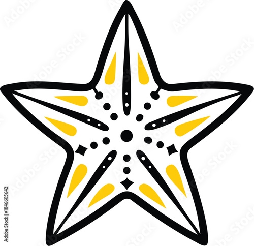 abstract star vector illustration