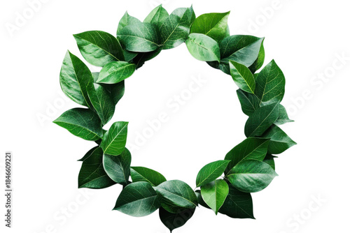 Lush green foliage forms a natural circular wreath border against a stark for elegant design elements on transparent background