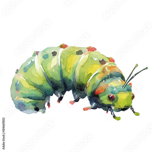 Hand-painted style, vectorized, vector set available in EPS An Elegant watercolor painting desiWatercolor_style_painting_of_a_caterpillar_on_a_white