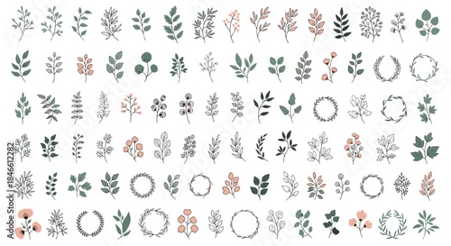 Massive collection of hand-drawn botanical elements including various leaves branches flowers and wreaths for rustic and elegant designs.
