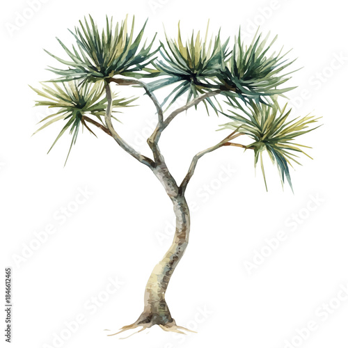 A_Watercolor_style_painting_of_a_dragon_tree_on_a_white_Hand-painted style, vectorized, vector set available in EPS An Elegant watercolor painting design