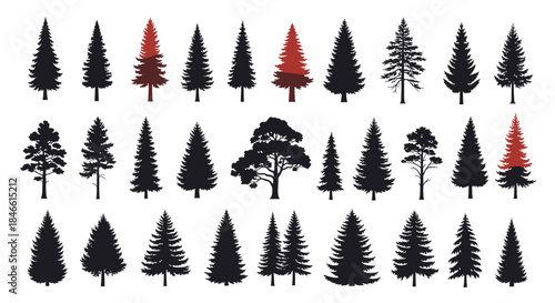 Large collection of black and red pine tree silhouettes showing various types of evergreen and coniferous trees for forest landscapes.