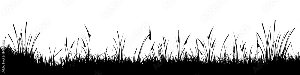 Obraz premium Meadow silhouette with grass, plants on plain. Panoramic summer lawn landscape with herbs, various weeds. Herbal border, frame element. Black horizontal banners. Vector illustration