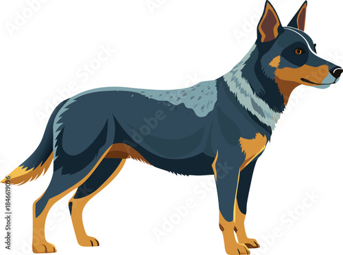 Blue and Tan Colored Dog Standing brown black