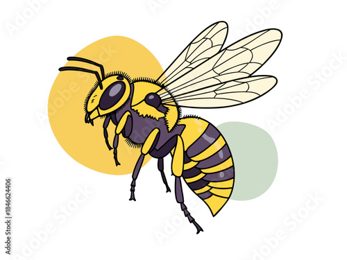 A detailed illustration of a yellow and black striped wasp with translucent wings, set against a minimalist background with abstract circular shapes.