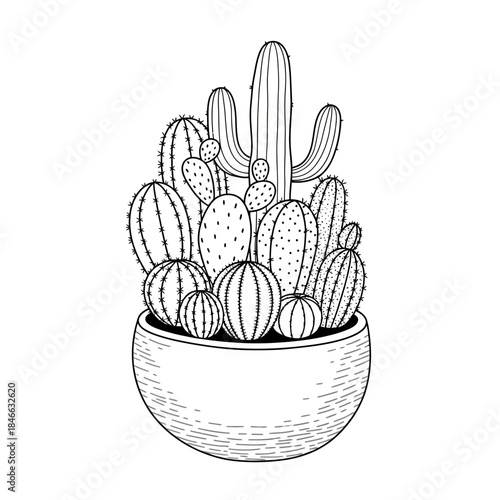Artistic succulent ensemble in monochrome illustration offering design potential and botanical charm
