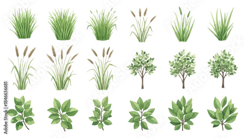 Set of realistic isolated vector illustrations featuring a collection of green plants, grasses, bushes, and deciduous trees on a white background
