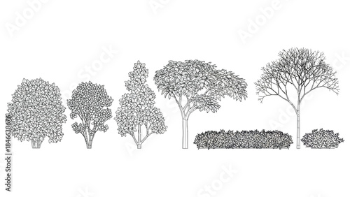 Set of detailed black and white line art vector illustrations featuring various trees, shrubs, bushes, and a hedge on a white background, ideal for architectural and landscape design drawings
