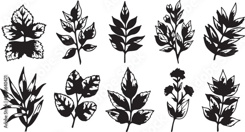 Black Silhouette Leaves Collection on White Background