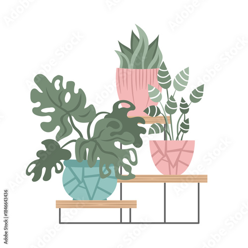 Hand drawn indoor house plant collection. Pots and shelves
