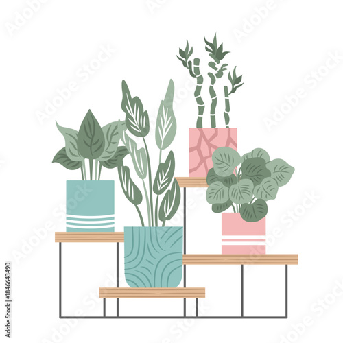 Hand drawn indoor house plant collection. Pots and shelves