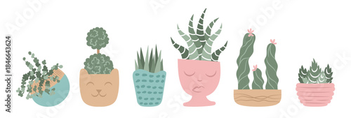 Hand drawn indoor house plant in pots collection.
