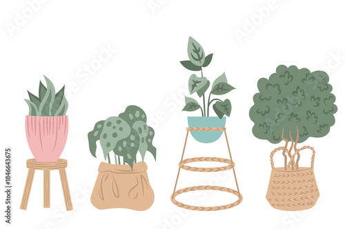 Hand drawn indoor house plant in pots collection.