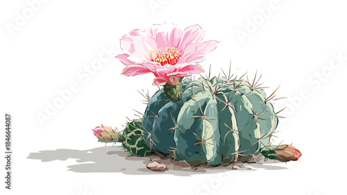 Pink Flower Cactus in Vector Illustration Picture