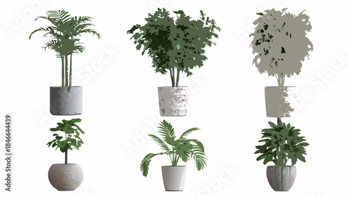 A collection of potted indoor plants with varying foliage and container styles