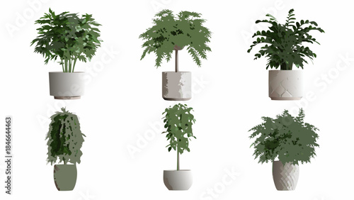 A collection of various potted indoor plants with different leaf textures