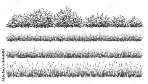 Set of detailed black and white line art vector illustrations featuring various grasses, reeds, and bushes on a white background, ideal for architectural and landscape design drawings
