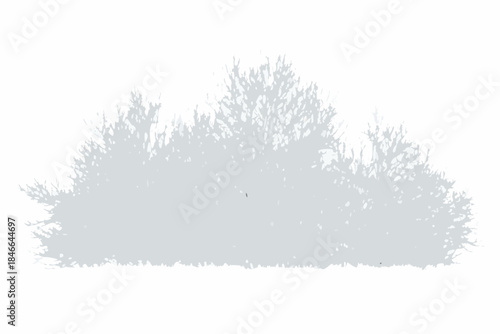 A solitary gray bush isolated against a clean white background