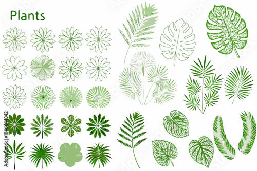 A collection of various green plant leaves and floral arrangements in a pattern