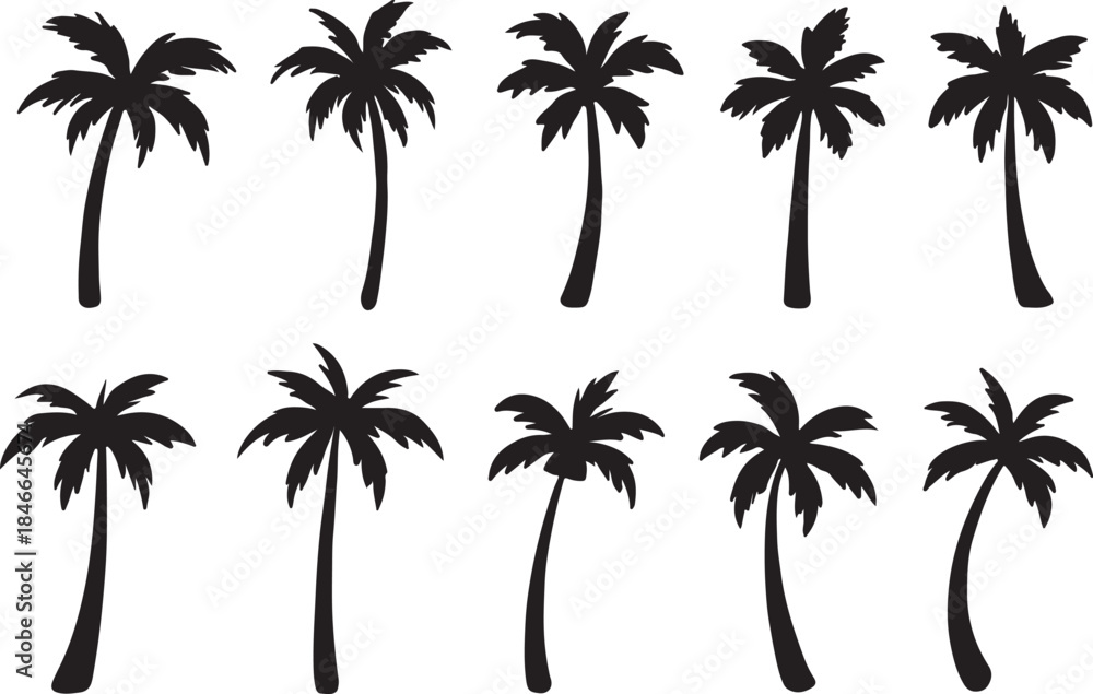 Fototapeta premium Palm Tree Silhouette Collection Featuring Tropical Shapes, Curved Trunks, and Frond Variations