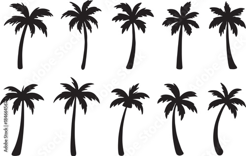 Palm Tree Silhouette Collection Featuring Tropical Shapes, Curved Trunks, and Frond Variations