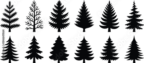 Evergreen pine and fir tree silhouettes set, conifer forest shapes, black vector illustration collection for winter nature, woodland design projects