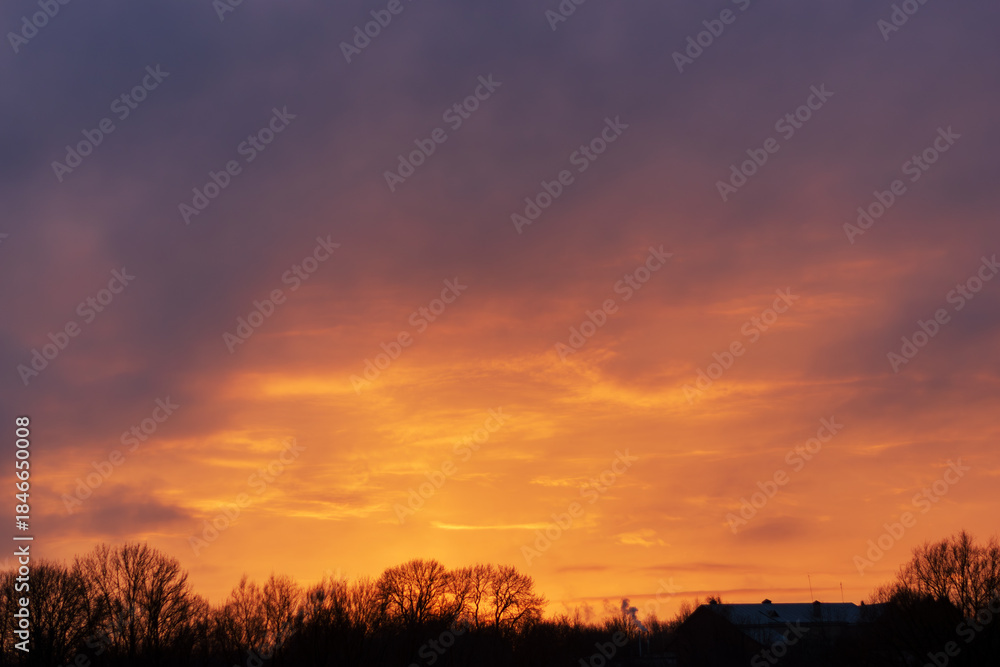Fototapeta premium Dramatic sunset sky with orange clouds and dark forest silhouette