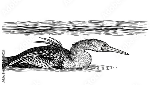 Elegant Duck B&W Ink Sketch Swimming with Water Ripples