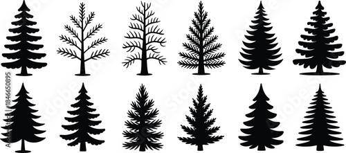 Pine and fir tree silhouettes collection, evergreen conifer forest elements, black vector illustration set for winter nature, woodland design use