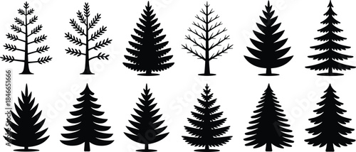 Evergreen pine tree silhouettes collection, conifer forest elements, black vector illustration set for winter nature, woodland, landscape design projects