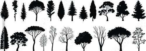Collection of detailed forest tree silhouettes, diverse woodland shapes, black vector illustration set for nature, landscape, ecology, design use