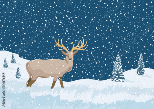 A deer in a snowy landscape during the day