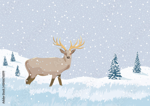 A deer in a snowy landscape at night