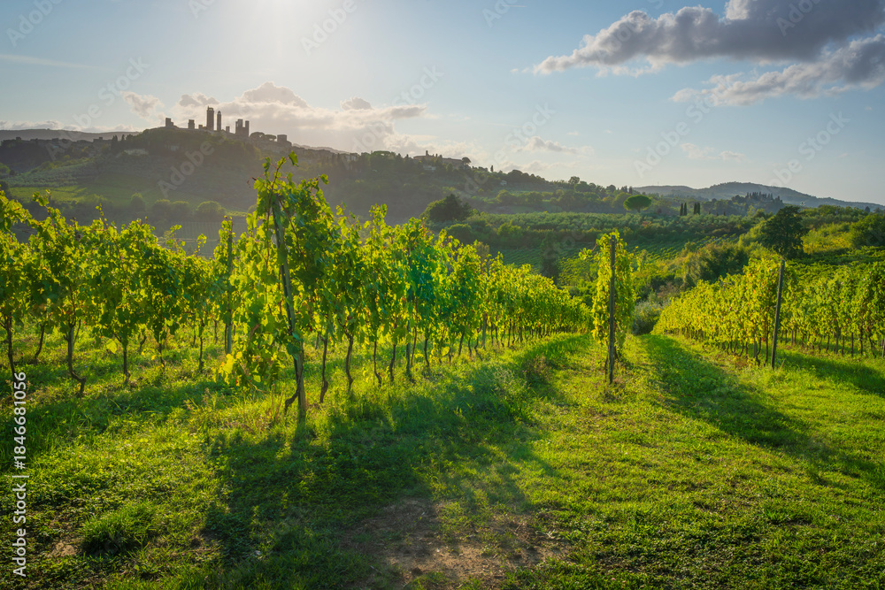 Fototapeta premium San Gimignano Towers Panorama Framed by Tuscan Vineyards, Italy