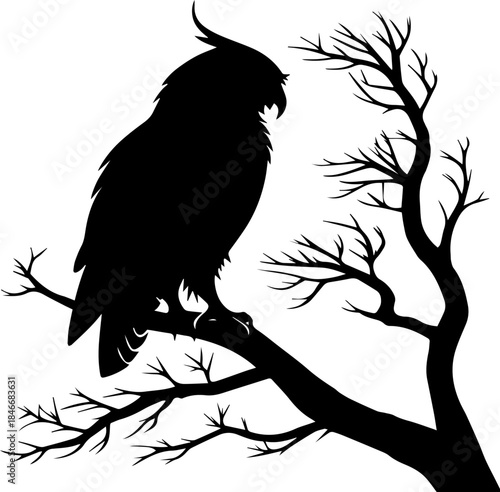 Owl on Bare Tree Branch – Black Silhouette Vector