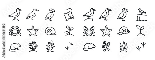 Minimalist seaside animal and plant icon set