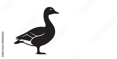  Canada Goose white background. 