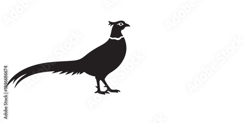 Federal Eagle in silhouette image white background.