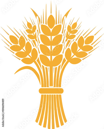 Golden wheat stalk bundle illustration for harvest and food