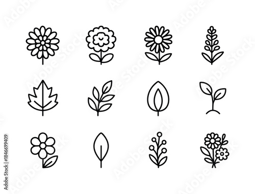 Autumn Flower Icons. Autumn flowers. Line icon set of Autumn flo