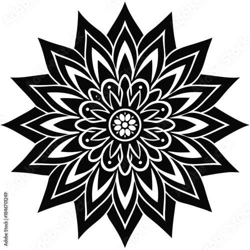 elegant mandala vector icon on white background