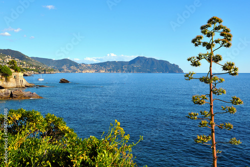 Wallpaper Mural View of the Nervi Promenade, Genoa, Liguria, Italy Torontodigital.ca
