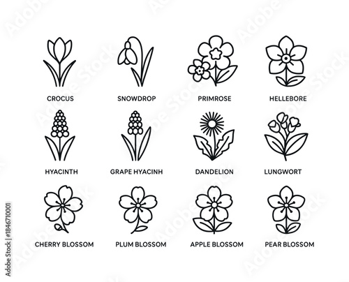 Spring Flower Icons. Spring bee flowers. Line icon set of spring